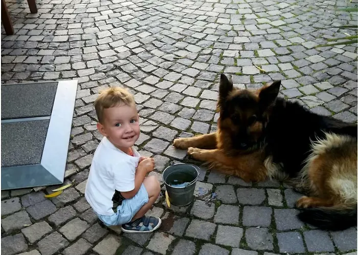 Sonnenhof 3* Forthen